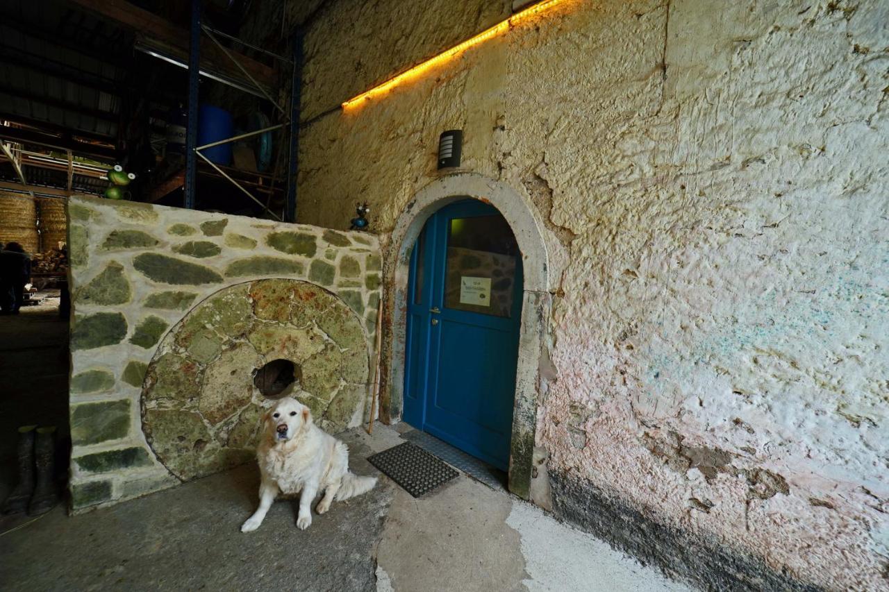 Room In Farmhouse Berkel Bockholtz Dış mekan fotoğraf